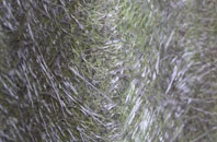 Kirkleatham fibreglass roof work